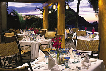 Blue Marlin